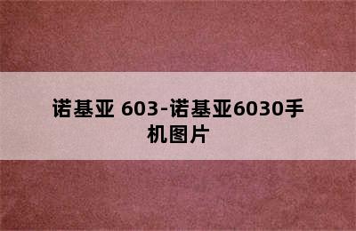 诺基亚 603-诺基亚6030手机图片